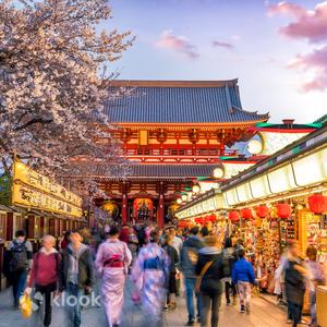 Asakusa, Kappabashi and Ueno Walking Tour: 3 Hours of Tokyo History and Culture